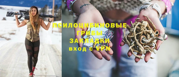 первитин Арсеньев